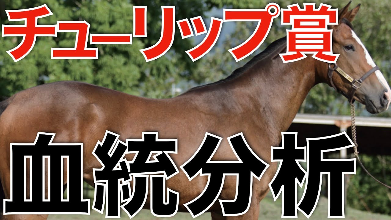 【チューリップ賞】ヤバすぎる良血馬たちが火花を散らす！