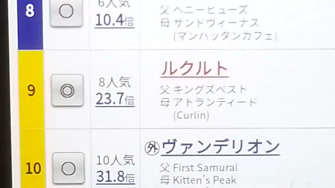競馬JOURNEY#022 2/25 ルクちゃんの存在に感謝。