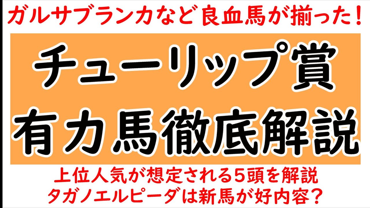 チューリップ賞2024有力馬5頭徹底解説！タガノエルピーダ/ミラビリスマジック/ワイドラトゥール/スティールブルー/ガルサブランカ【チューリップ賞2024】