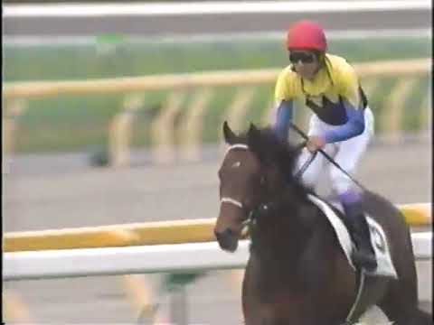 【ディープインパクト】2005年 日本ダービー スーパー競馬