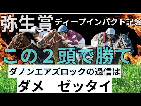弥生賞　 最終予想　結論