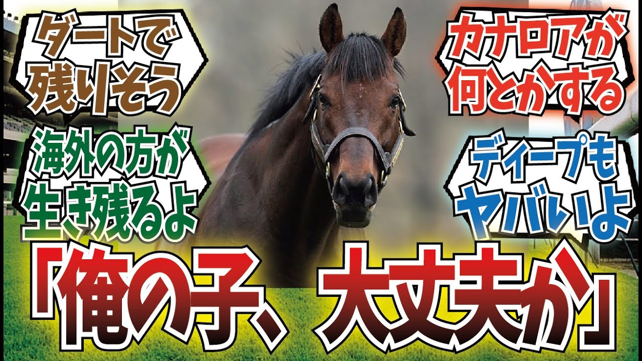 「キンカメ直系って意外と安心出来なくない？」に対するみんなの反応集