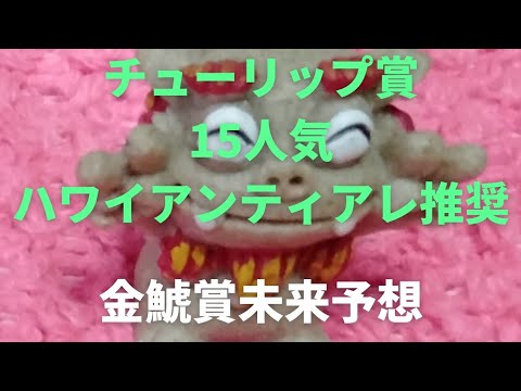【金鯱賞】未来予想！チューリップ賞１５人気ハワイアンティアレ推奨！#競馬