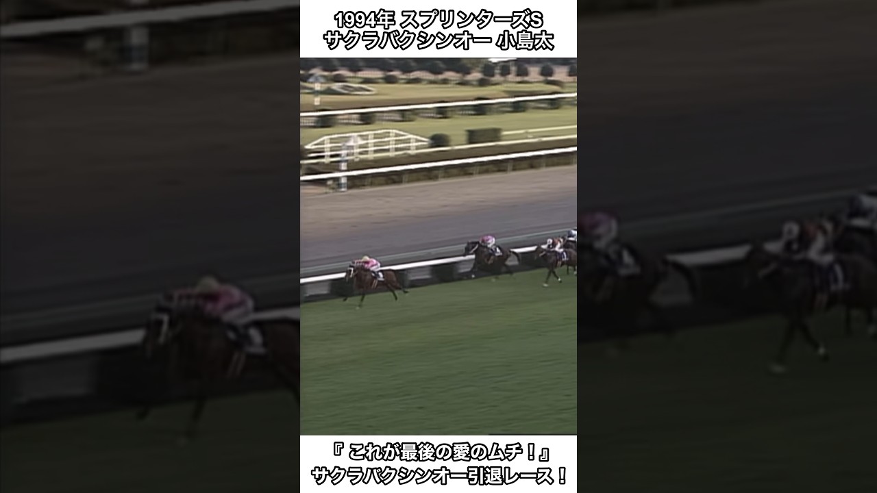 【競馬】小島太、これが最後の愛のムチ！これが最後の愛のムチ！サクラバクシンオ！#競馬 #スプリンターズs #shorts