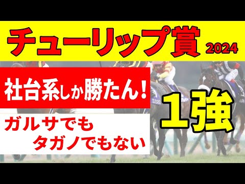 【チューリップ賞2024予想】＜枠順確定＆最終結論＞必ず桜花賞へ行く！タガノエルピーダでもガルサブランカでもない第３の馬を本命推奨！！