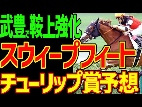【チューリップ賞予想】スウィープフィートが桜花賞に危険信号で永島まなみから武豊への乗り替わり!桜花賞トライアルは桜花賞最終便に…2024年チューリップ賞予想動画【競馬ゆっくり】【私の競馬論】