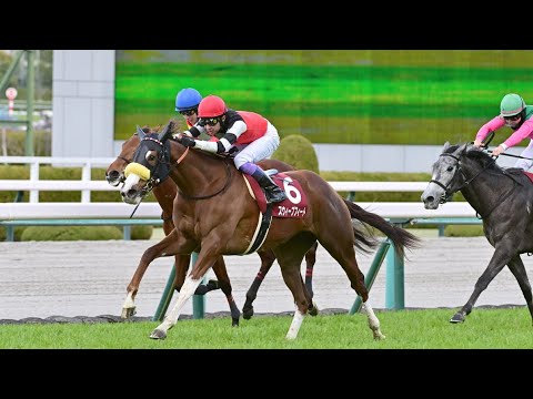 【重賞】第31回チューリップ賞(桜花賞トライアル)実況[優勝馬　スウィープフィート　武豊騎手]