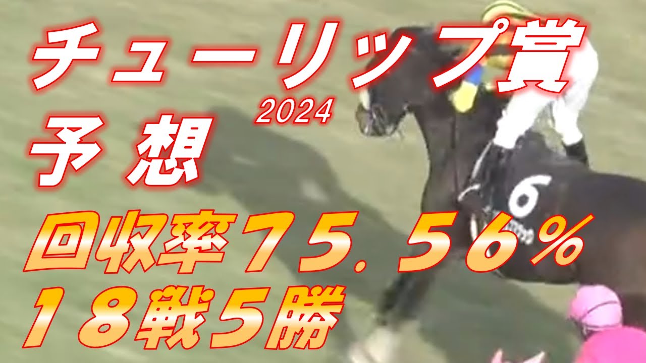 チューリップ賞2024　予想　回収率75.56％　18戦6勝　クール最終戦に向けて数字を積み上げる！！　元馬術選手のコラム by アラシ