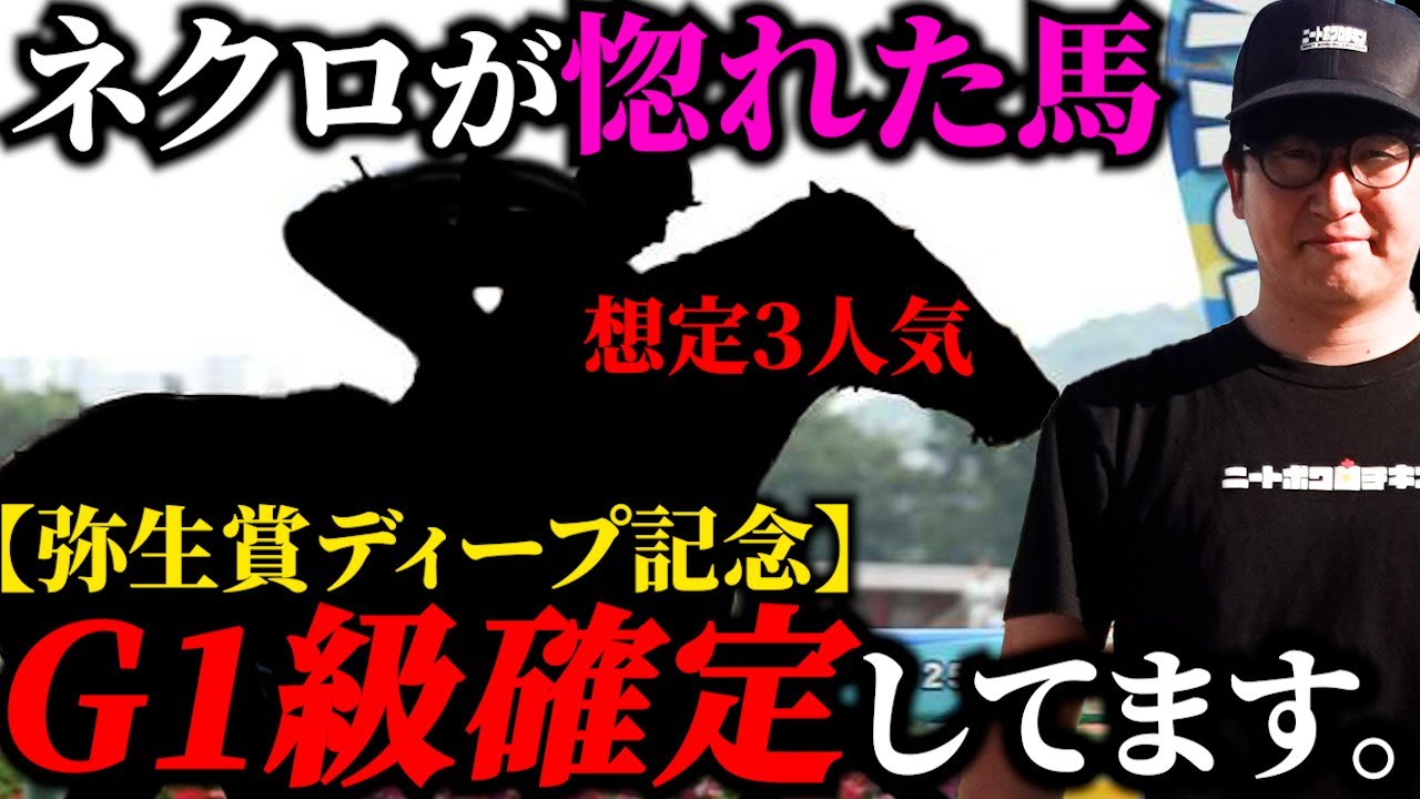 【弥生賞2024】"取引額5億円"も納得のモンスターについて語ります。