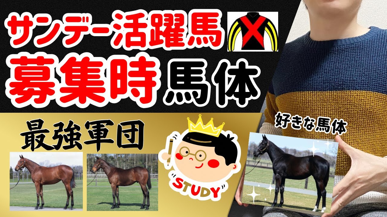 【競馬】【一口馬主】リバティアイランド、ソングライン、レガレイラ、クイーンズウォーク他！サンデーレーシング活躍馬の馬体 血統 価格