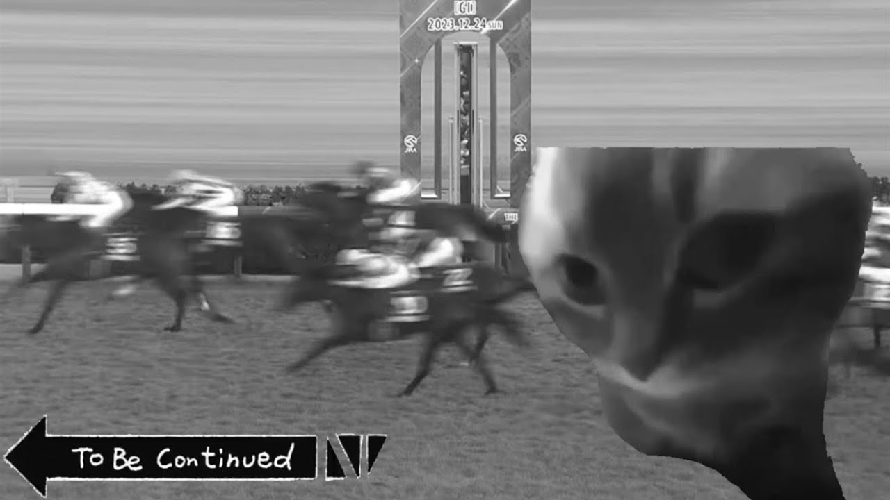 去年のワイの競馬　#猫ミーム #ネコマニア  #ネコマニ　# 猫マニ