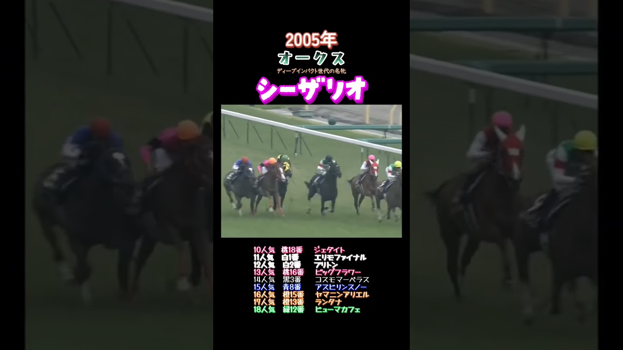 2005年オークス#競馬#G1#武豊#ウマ娘#名実況#jra#ディープインパクト