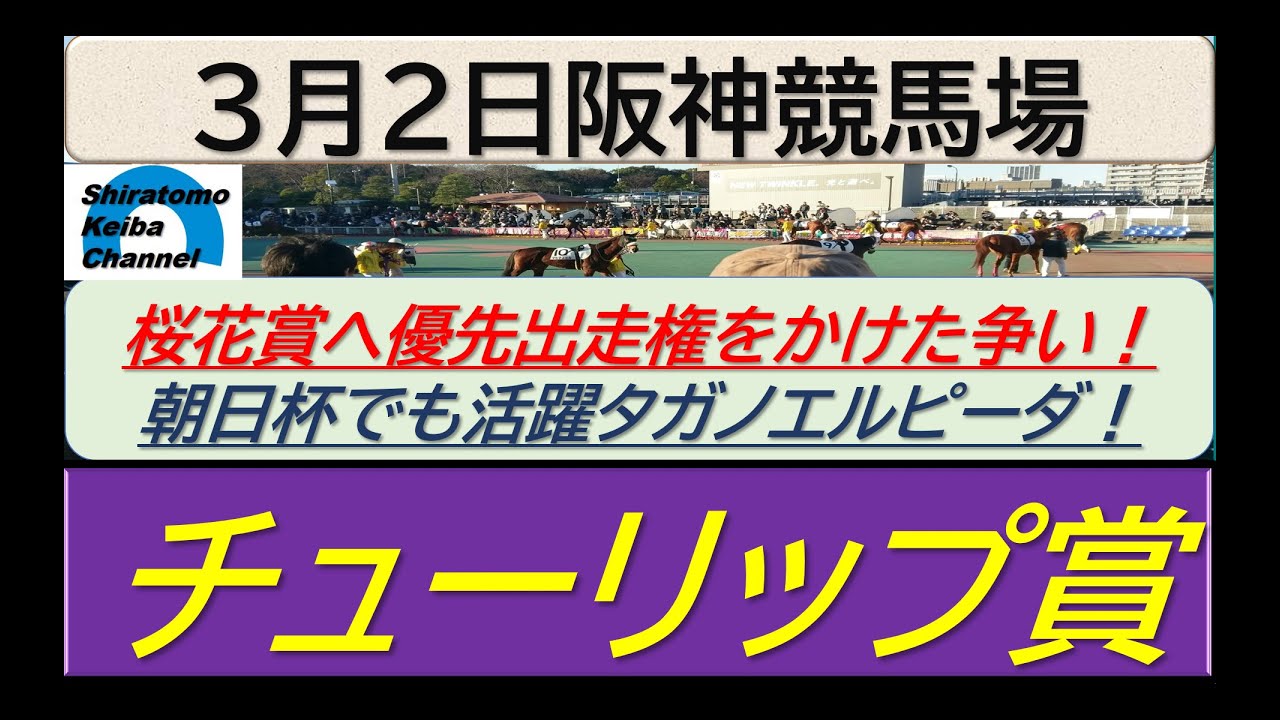 【競馬予想】GⅡチューリップ賞　桜花賞への優先出走権をかけた争い！～２０２４年３月２日 阪神競馬場 ：３－３