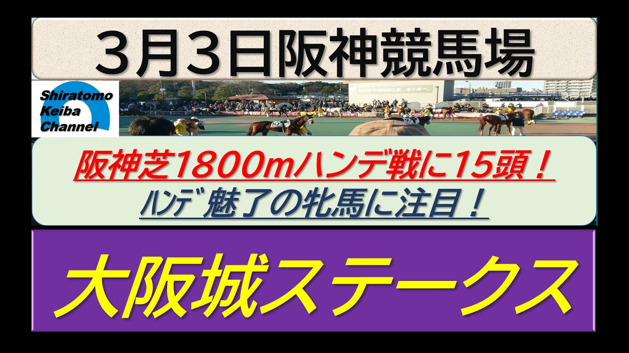 【競馬予想】大阪城ステークス！～２０２４年３月３日 阪神競馬場 ：３－６