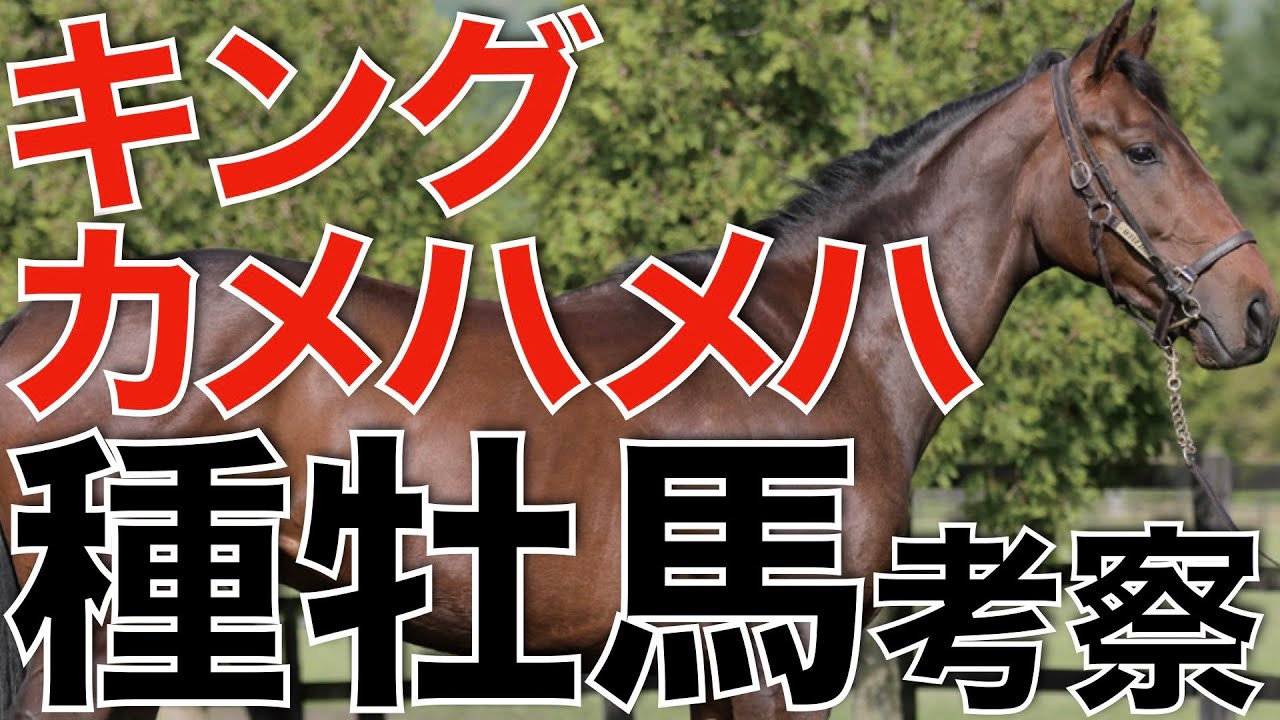 種牡馬キングカメハメハの産駒傾向を考察！日本競馬を変革したレジェンドサイアー。