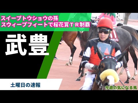 【武豊】チューリップ賞をスウィープフィートで圧勝！スイープトウショウの孫で桜花賞に王手！