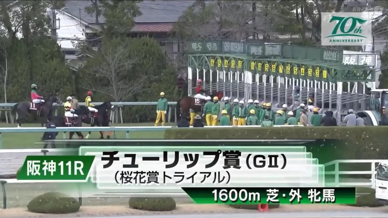 阪神11R 第31回チューリップ賞（GⅡ）　〈桜花賞トライアル〉