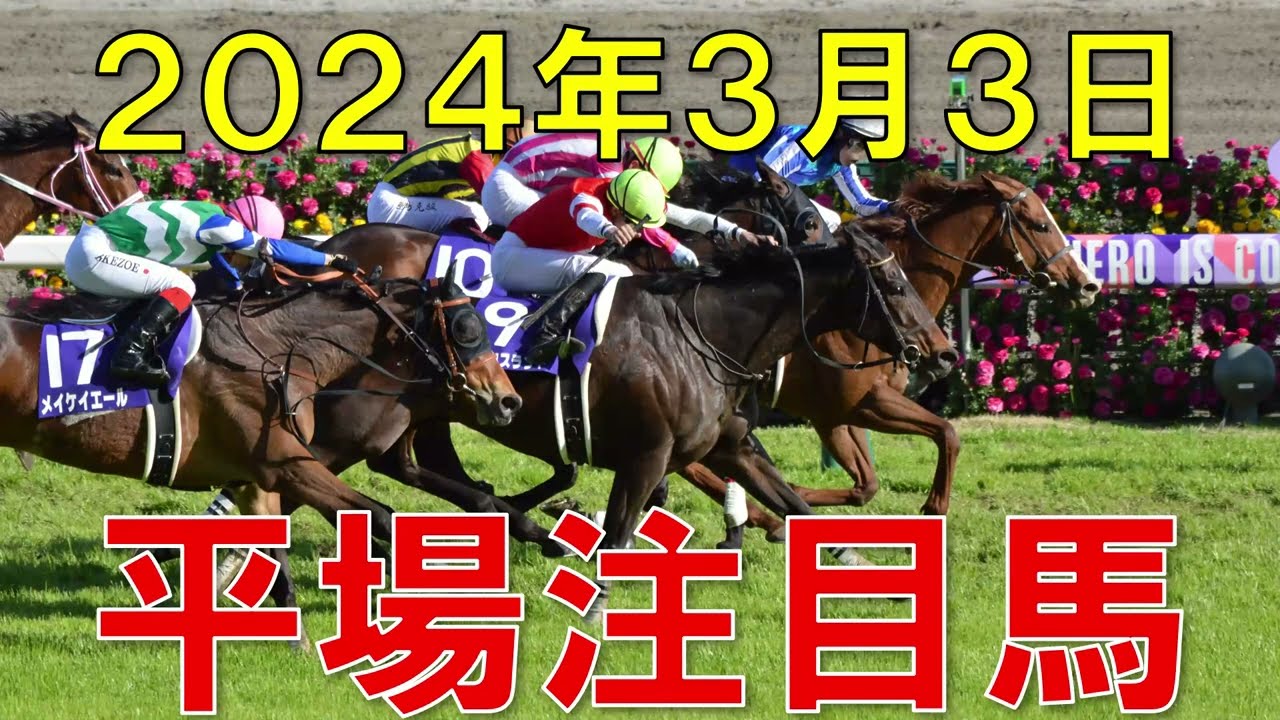 JRA 競馬予想 厳選平場予想 3月3日 平場で狙いたい注目馬