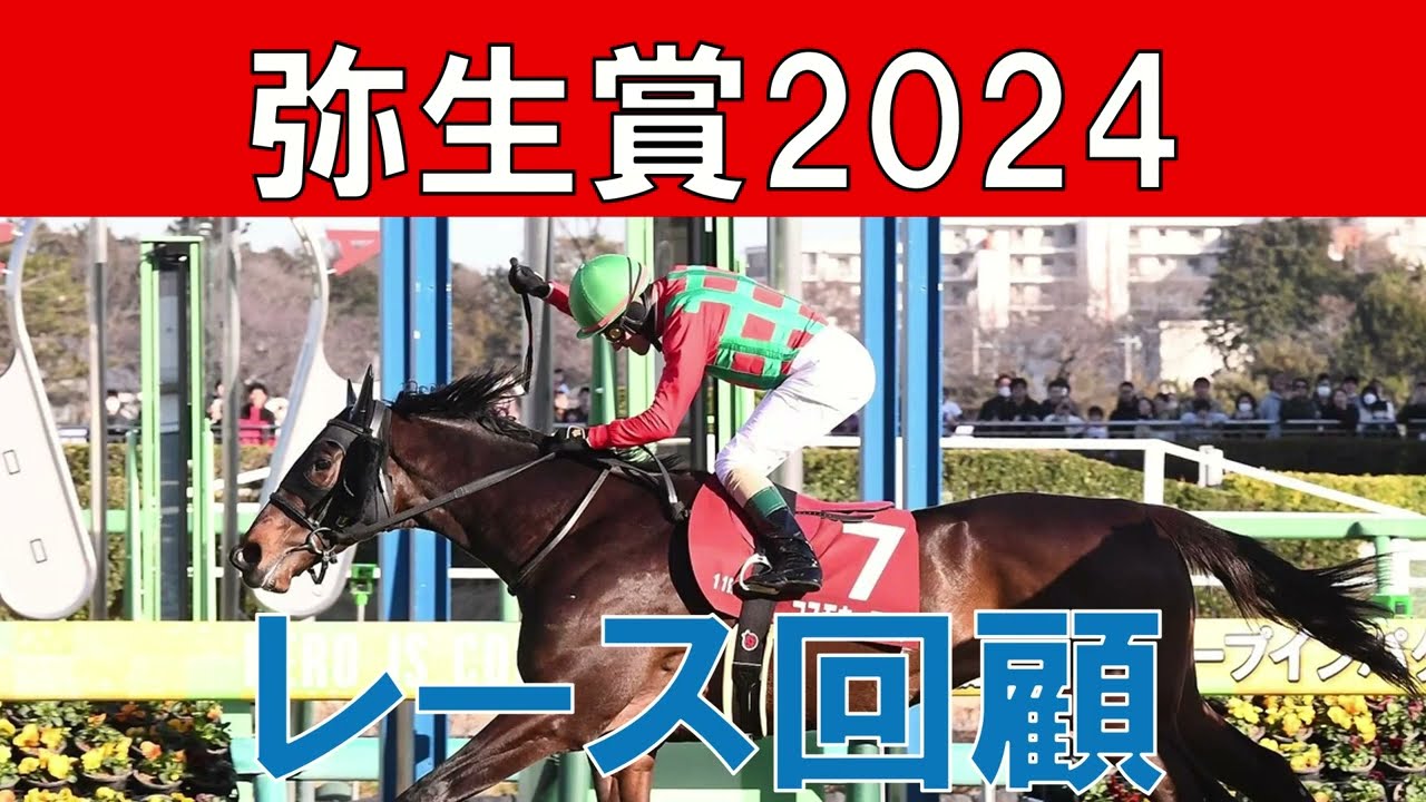 弥生賞 レース回顧  2024　コスモキュランダ・シンエンペラーの評価　トロヴァトーレ・ジャンタルマンタルの敗因と得意条件が判明しました　皐月賞で注意しなければならない馬は？
