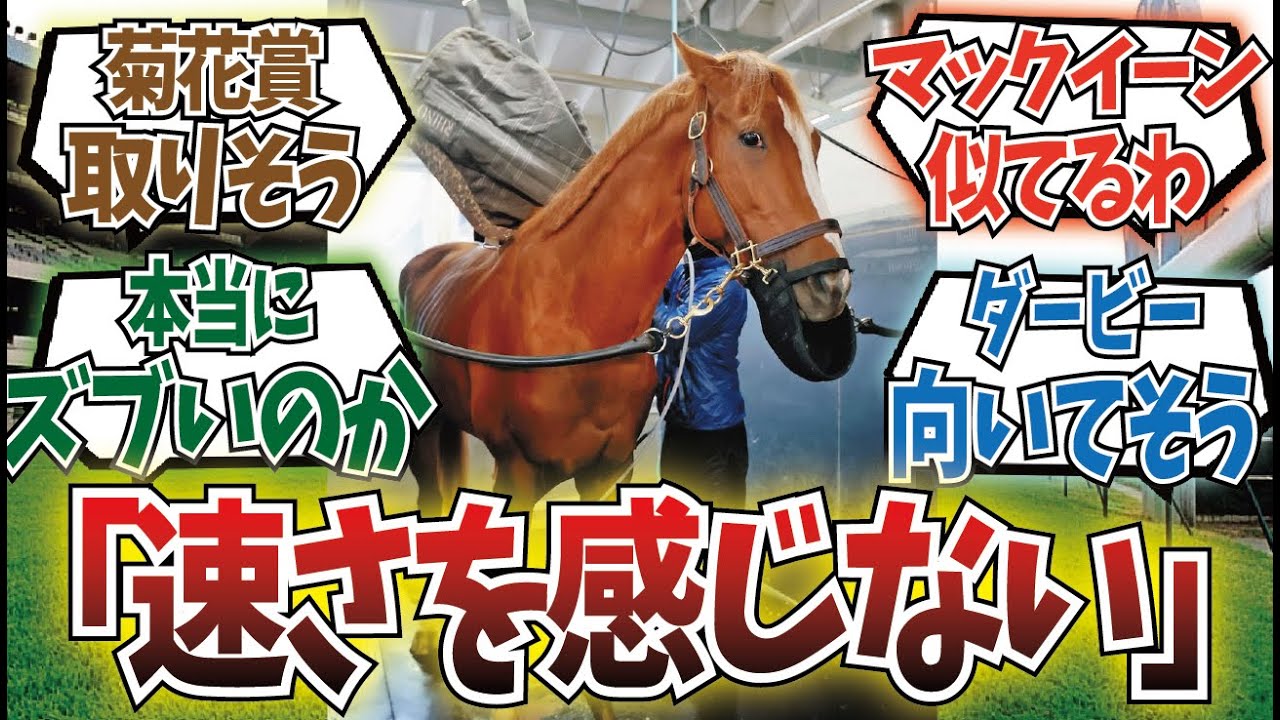 「シンエンペラーはスピードがない」に対するみんなの反応集