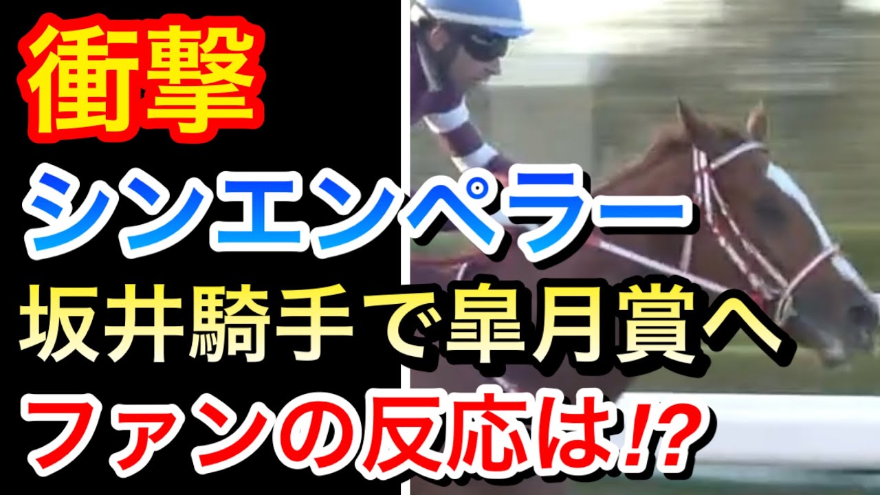【競馬の反応集】シンエンペラーは坂井騎手で皐月賞2024へ！手は合うのか？