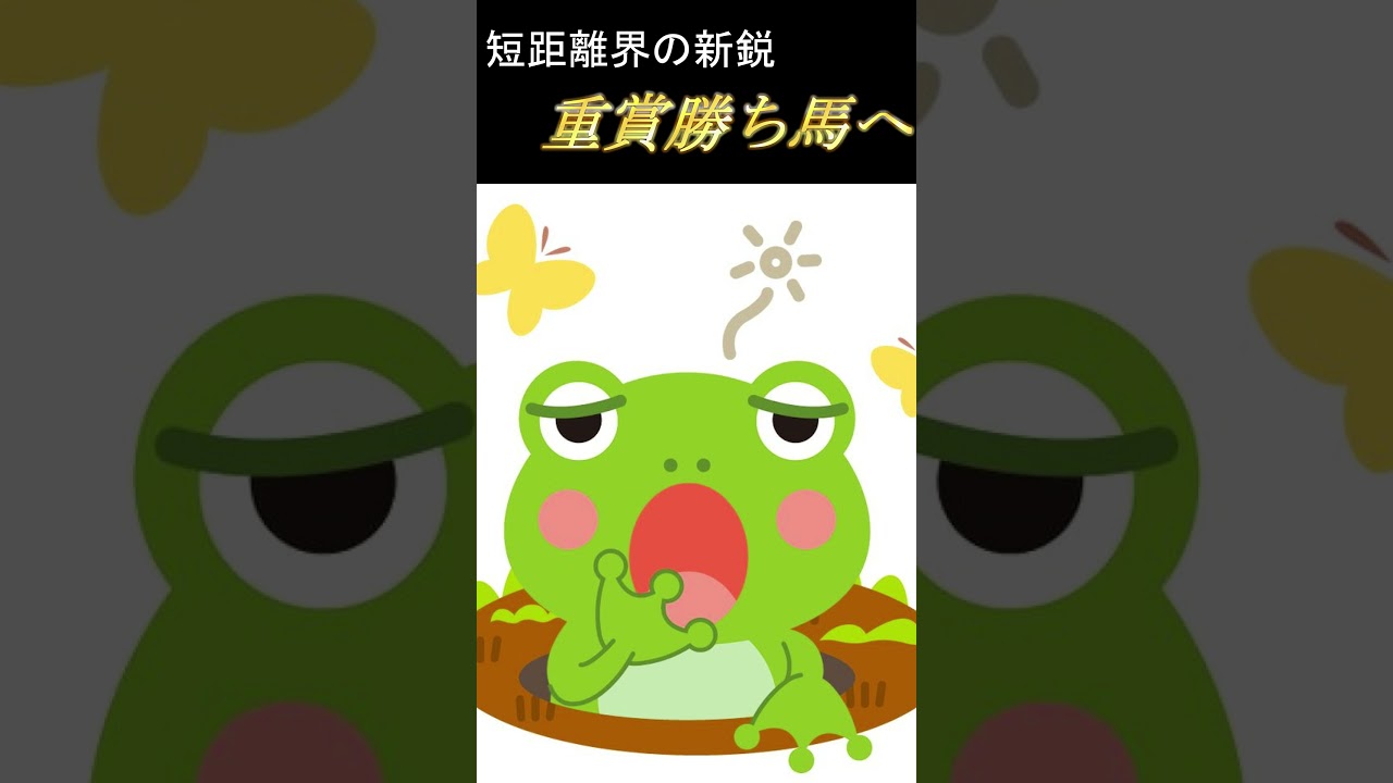 【 2024 オーシャンステークス 】注目馬１分紹介『 土曜日版 』強さの証明をここで行う！！（  ビッグシーザー ）