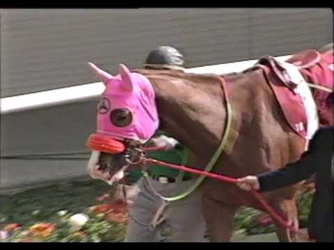 第41回 産経大阪杯 G2 （1997/3/30・阪神） マーベラスサンデー