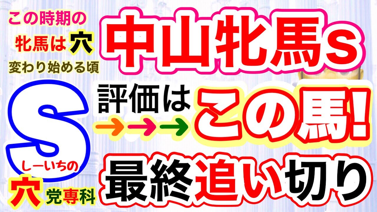 穴党専科❣️【中山牝馬ステークス2024】しーいちの最終追い切り評価