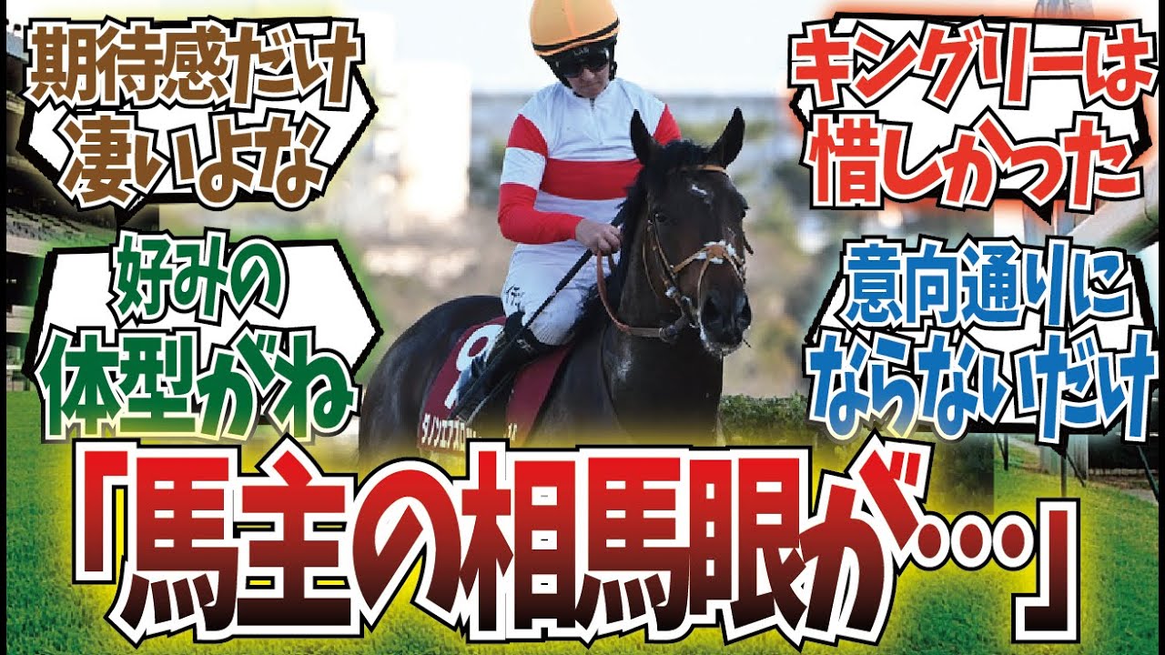 「実際ダノンって…」に対するみんなの反応集