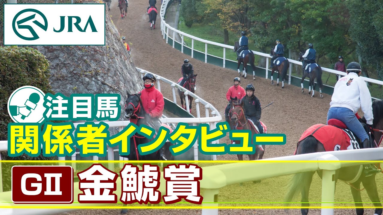 【注目馬 関係者インタビュー】2024年 金鯱賞｜JRA公式