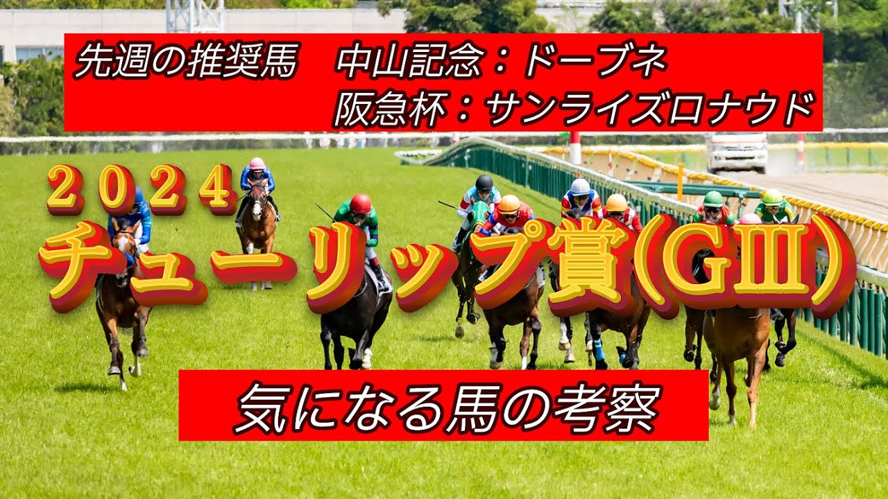 【2024 チューリップ賞】 気になる馬を考察します