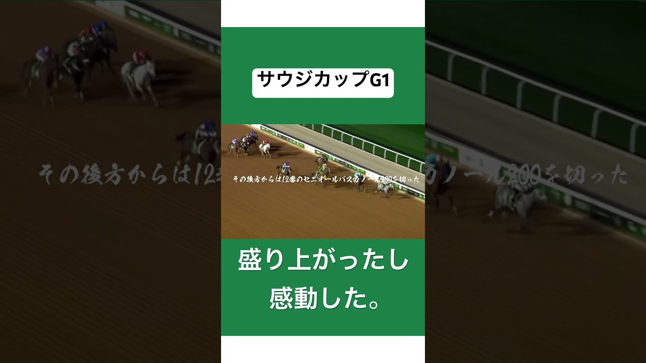 サウジカップG1   感動した。#競馬 #競馬予想 #競馬実況 #万馬券 #馬券勝負#shorts