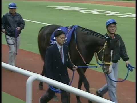 エアグルーヴ 意地と誇りの女王 【全レース収録】