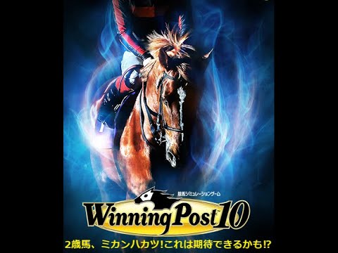 【ウイニングポスト10】【330】【Steam版】■ライブ配信(声なし)■難易度：Easy■引継ぎ：無■①オルフェーヴル〆配合を目指す（遂に配合開始）！！②オンライン全制覇を目指す！！