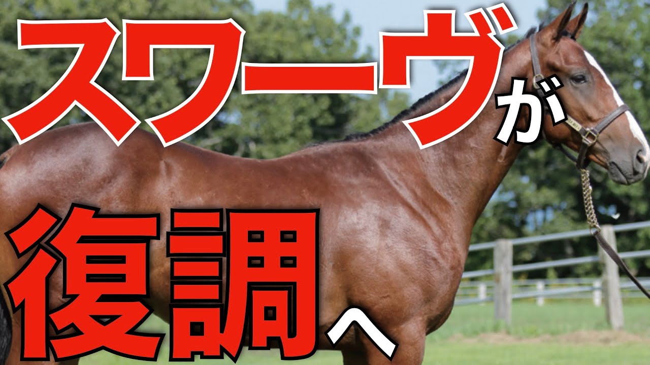 スワーヴリチャード産駒が快進撃！超早熟説を払拭するか。