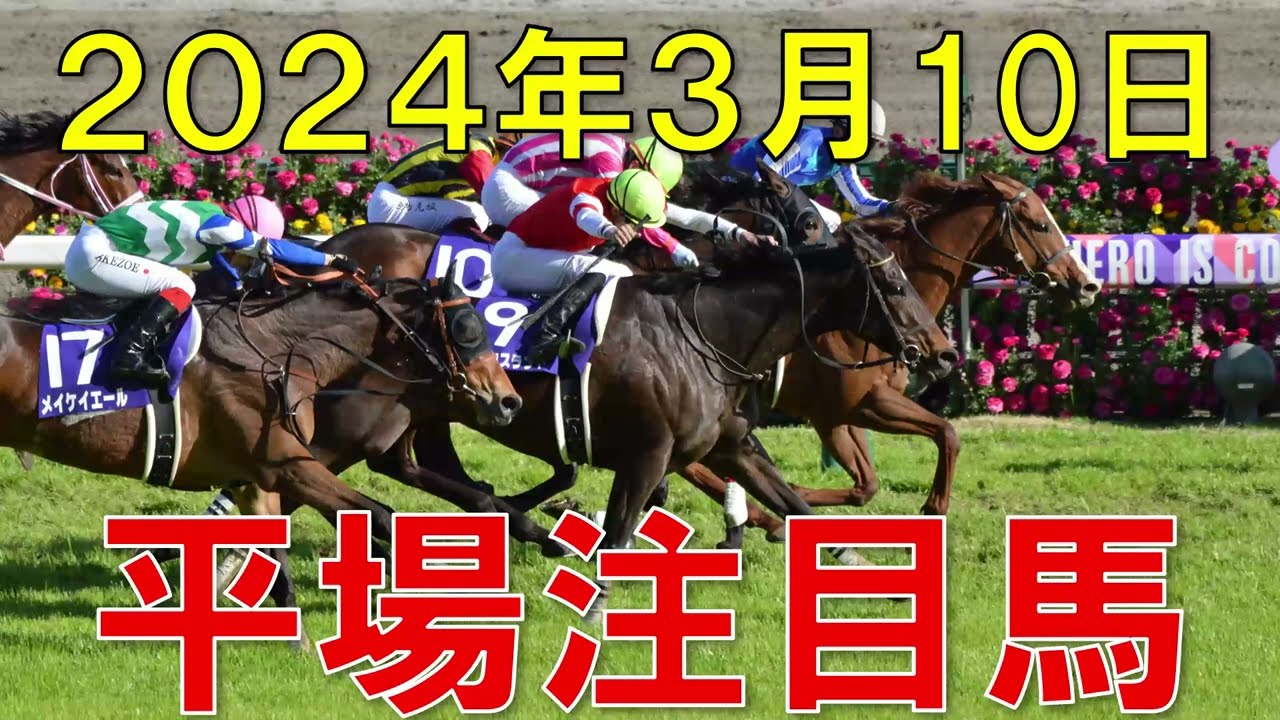 JRA 競馬予想 厳選平場予想 3月10日 平場で狙いたい注目馬