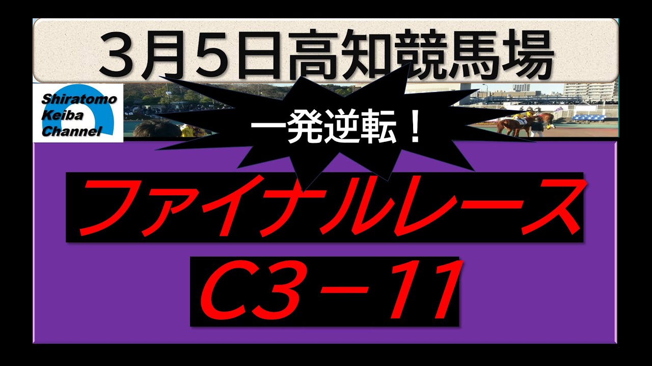 【競馬予想】ファイナルレースC３－１１！～２０２４年３月５日 高知競馬場 ：３－１３