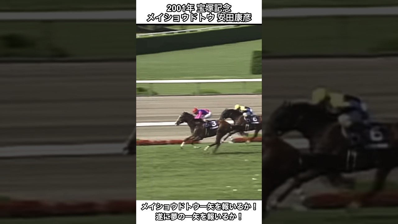 【競馬】メイショウドトウ一矢を報いるか！メイショウドトウの執念！#競馬 #宝塚記念#メイショウドトウ #shorts