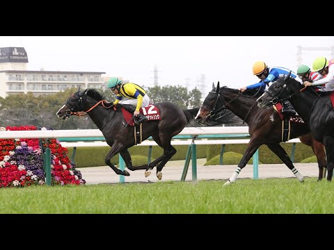 枠連投資馬券塾　#フィリーズレビュー２０２４　#レース展望　#出走予定馬ジャッジ　#枠出目