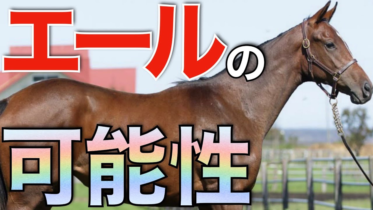 メイケイエール、高松宮記念で引退へ！繁殖牝馬としての輝かしい未来を予感。