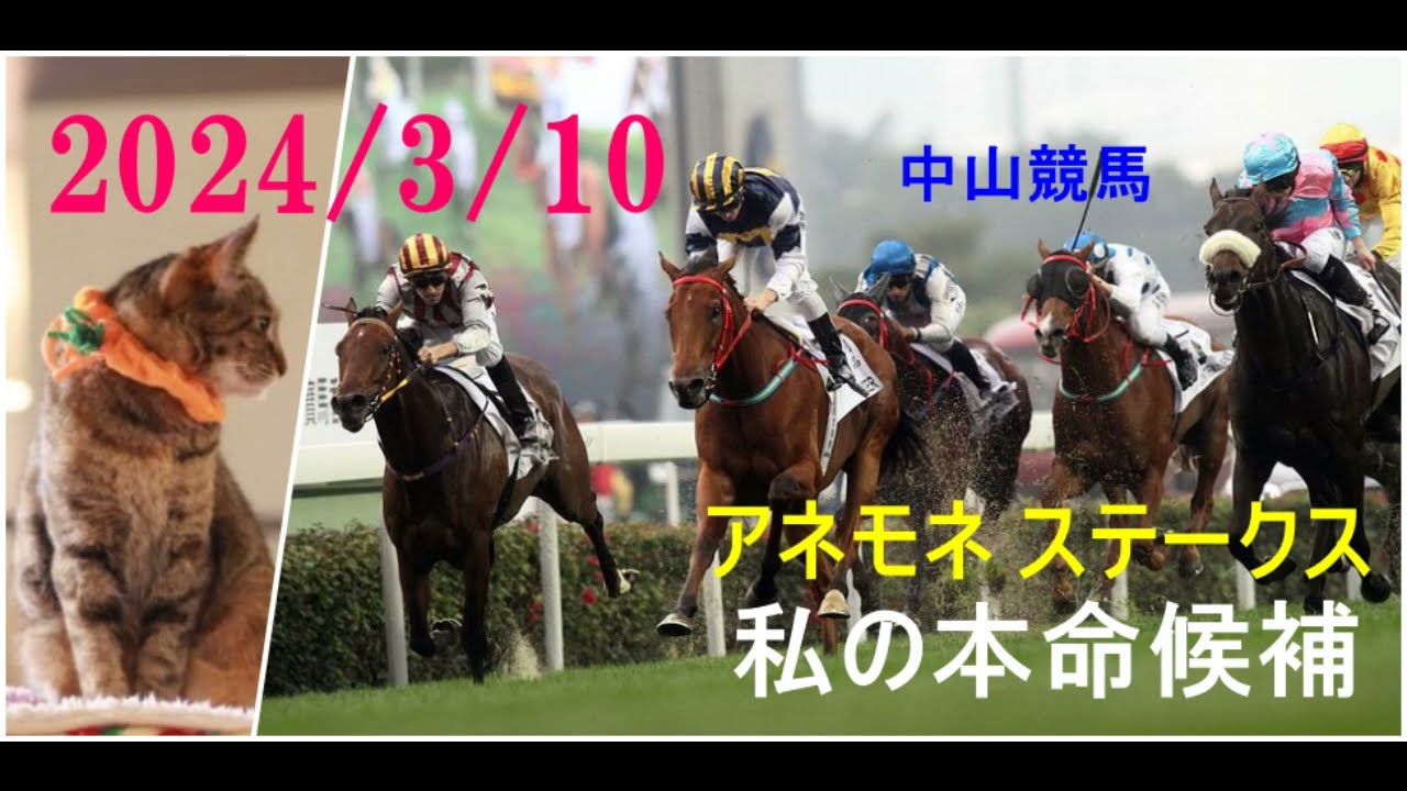 2024/3/10　中山競馬　アネモネ ステークス（桜花賞トライアル）私の本命候補