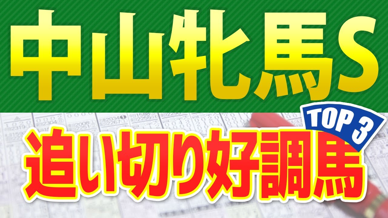 中山牝馬ステークス（2024）追い切りが抜群だった「トップ3」はこの馬だ🐴 ～JRA中山牝馬Sの競馬予想～