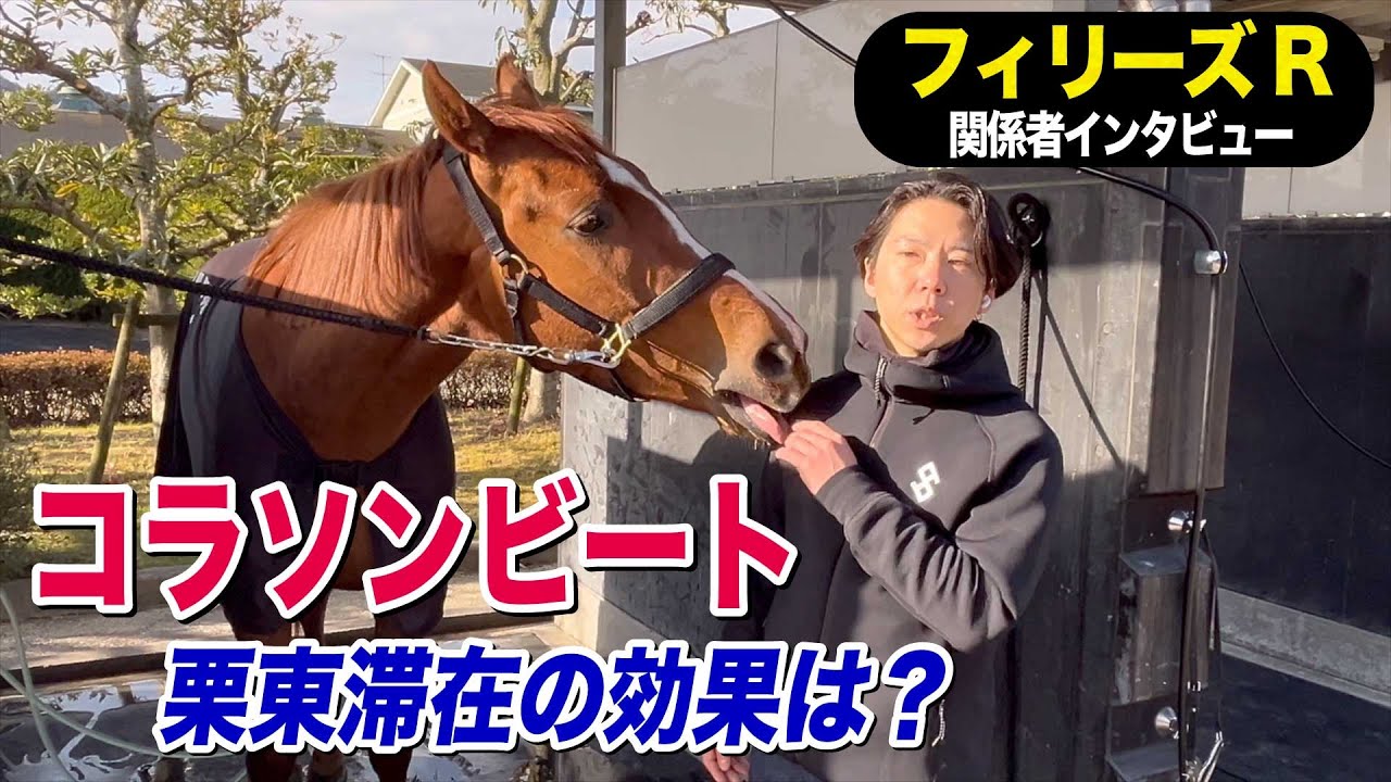 【フィリーズレビュー2024】コラソンビート栗東滞在の効果は？関係者インタビュー《東スポ競馬》