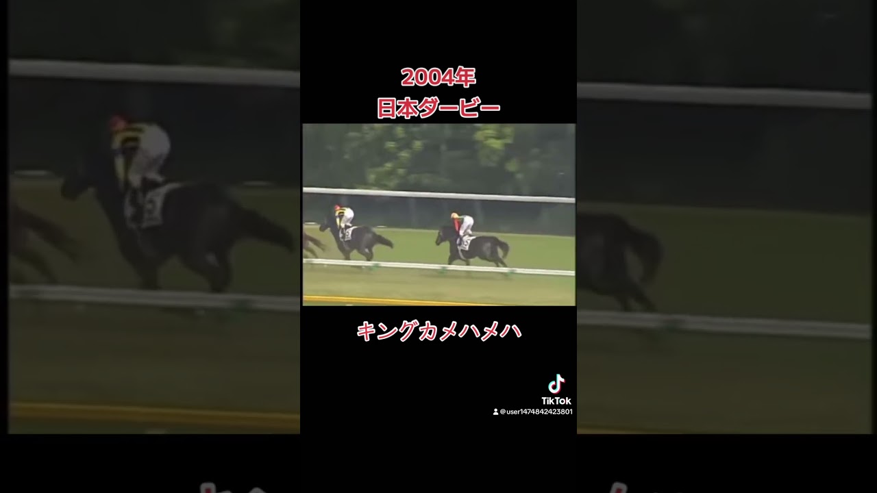 2004年日本ダービー　キングカメハメハ