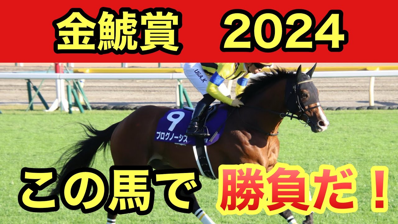 【金鯱賞2024・予想】大阪杯へ向けた重要なステップレース！馬券に入れて欲しいおすすめ３頭を紹介します。