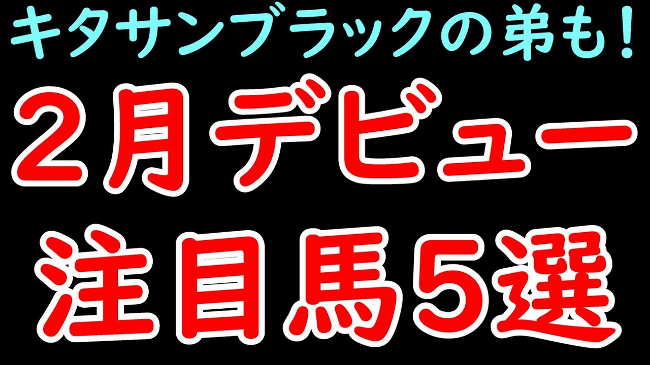 2月にデビューした注目馬5選！ シュガークン/ベトルス/シュネルラウフェン/ワールズエンド/セイロンジェムズ【POG23-24】