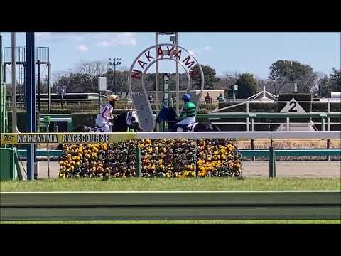 ブリエヴェール･中山・障害未勝利 2024年3月10日
