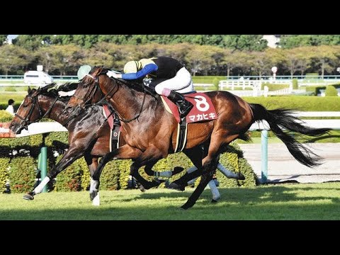 【競馬MAD】明日も
