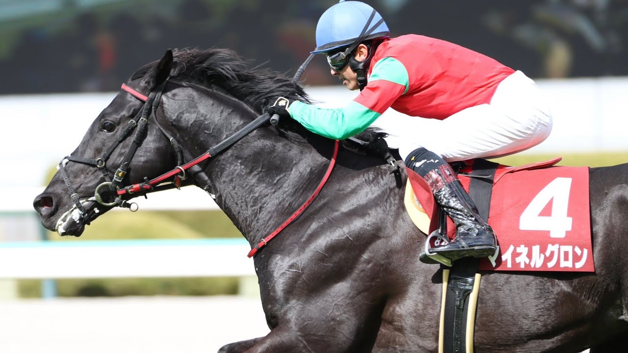 阪神8R阪神スプリングジャンプ2024マイネルグロン