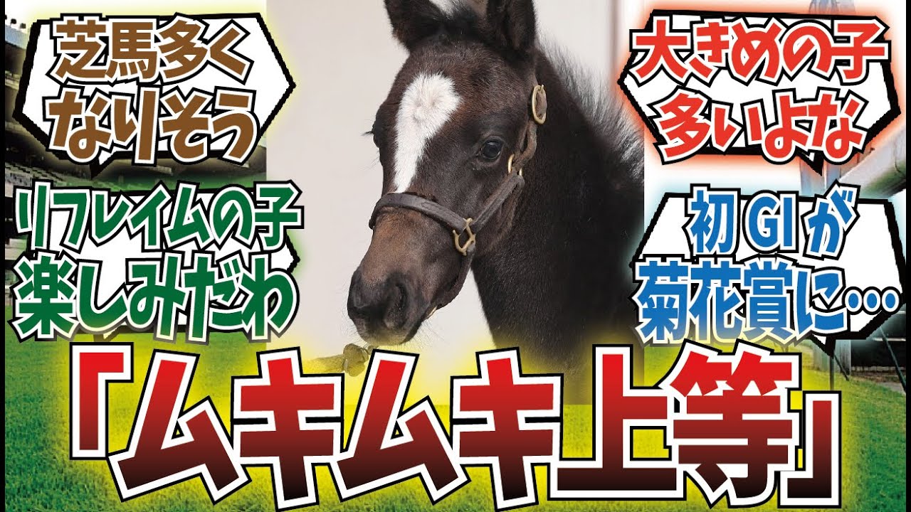 「コントレイル産駒に」に対するみんなの反応集